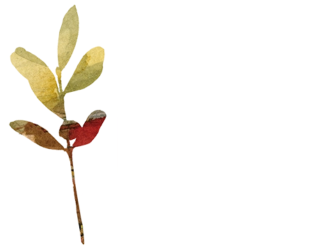 Logotipo del Instituto Mediterráneo de Culturas en color blanco.